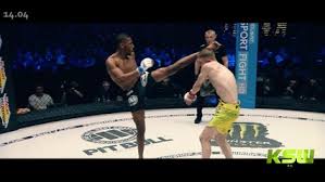 Parnasse, despite not being out cold, was unquestionably hurt by the glancing blow, and it was enough for the referee to jump in and stop the fight. Salahdine Parnasse Le Futur Du Mma Francais Interview
