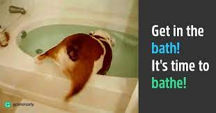 Liza is obsessed with gabbie`s song. Bath Vs Bathe Learn The Difference Grammarly