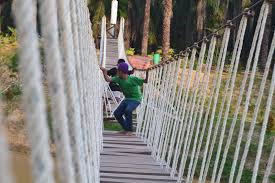 Maybe you would like to learn more about one of these? Wisata Hutan Lindung Kota Langsa Edukasi