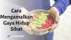 10 jenis buah buahan untuk kulit menawan free malaysia penulisan karangan spm isu buah buahan tempatan. Cara Cara Menyayangi Haiwan Peliharaan