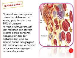 Check spelling or type a new query. Mengangkut Zat Zat Sisa Metabolisme Ppt Download