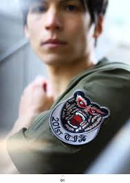Japan Self-Defense Force Goods Patch No. 201 Squadron Brown Bear F15 Sky  Self Military Patch Gray Chitose Base Air Self-Defense Force Logo Team Mark  ...