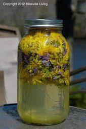 Dandelion Violet Lemonade 1 Fill 1 2 Gallon Mason Jar 1 2 Way With Dandelions And Violet Flowers 2 Add The Juice And Rin Dandelion Recipes Herbs Herbalism