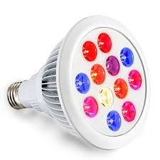 Buy today from the hydroponic experts. Pin On Everything