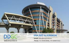 Pin On Ddgc Webpage