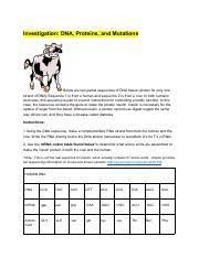 Maybe you would like to learn more about one of these? Investigation Dna Proteins And Mutations Docx Name Investigation Dna Proteins And Mutations Below Are Two Partial Sequences Of Dna Bases Shown For Course Hero