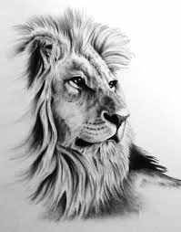 Pin By Marlize En Hendrik Bronkhorst On Tatuajes Lion Drawing Lion Head Tattoos Lion Painting