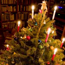 Light Em Up Candles In Christmas Trees Blog Advent 20 Country Skills For Modern Life