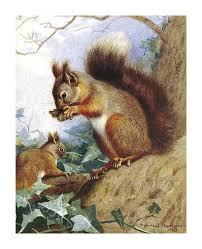 Ontdek meer dan 689 van onze beste gerelateerde zoeken. Squirrels In A Tree Premium Giclee Print Archibald Thorburn Art Com
