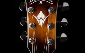 Blog Best Musical Instrument In 2020 Acoustic Guitar Amp Teach Yourself Guitar Acoustic Guitar