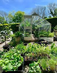 It's called lasagna gardening, also known as sheet mulching. 8 Easy Steps To Start Your Best Vegetable Garden A Piece Of Rainbow