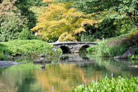 Red star shows the approximate location of the japanese garden within the park. Maymont Japanese Garden Bridge Richmond Va Mapio Net