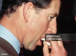 339 Weston Farm Stock Photos, High-Res Pictures, and Images