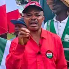 ₦1m salary worthless without stable Naira – NLC