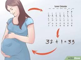 Maybe you would like to learn more about one of these? Cara Memprediksi Jenis Kelamin Bayi Dengan Menggunakan Kalender Cina