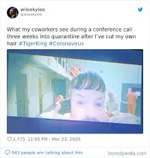 With all the products available these days, it's easy to overlook hair gel. 30 Best Memes Inspired By The Tiger King Bored Panda