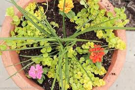 Historically, and still to a significant extent today, they are made from plain terracotta with no ceramic glaze, with a round shape, tapering inwards. How To Plant The Perfect Flower Pot Handmade In The Heartland