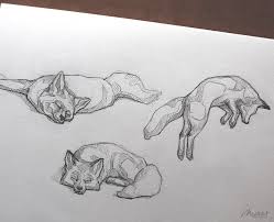 My Sketchbook Art Portfolio I Endangered Vulnerable Threatened Species Animals I Fox Jumping Fun Poses I Art Ideas Sketche Animal Drawings Wildlife Artwork Art