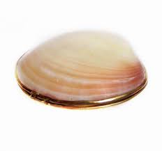 Get the assistance of our dedicated designing team to get an artistic pattern for your clamshell box. Vintage Clam Shell Box Seashell Brass Trinket Box Etsy Trinket Boxes Sea Shells Trinket