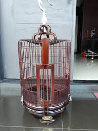 Burung jenis anis kembang memiliki karakter yang halus atau sangat sensitif sehingga membutuhkan perhatian khusus terutama pada selain itu, anis kembang juga dikenal sebagai burung yang mudah bosan untuk mengatasi masalah ini anda diharuskan lebih bisa berimprovisasi dalam memberikan. Jual Sangkar Anis Radja Exlusive Terbaru Di Lapak Iwan Birds Shop Ibs Bukalapak