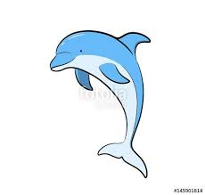 Dolphin Vector Cartoon A Hand Drawn Vector Cartoon Dolphin Drawing Cartoon Dolphin Cartoon Illustration
