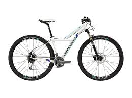 Cannondale Trail Sl 29 Mountainbike Fahren Rahmen