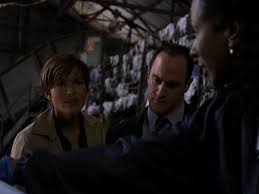 Special victims unit, the first spinoff of law & order, is an american police procedural television series that focuses on crimes of sexual nature. Waste Law And Order Fandom