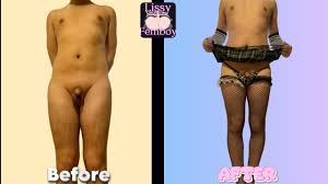 SISSYFICATION EVOLUTION