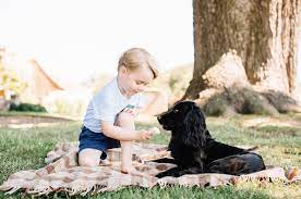 Prince George Shared Ice Cream With His Dog And Now The Duke And Duchess Are Being Accused Of Animal Cruelty Prince George Birthday Prince George Prince George Photos