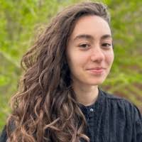 50+ "Brouillard" profiles