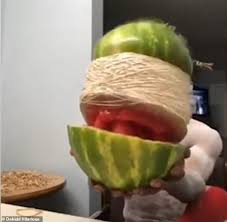 So, the guy is counting and when he comes to 67, bam! Joker S Painstaking Attempt To Explode A Watermelon With Rubber Bands Ends Spectacularly Daily Mail Online