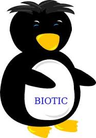 Pas itu mamah membuat 1 kg. 900 Gambar Terlucu Ideas Foto Meme Spongebob Background Funny Happy Birthday Meme