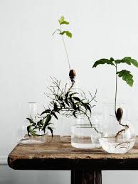 Spring Greens Dengan Gambar Menanam Tanaman Dalam Rumah Tanaman Indoor