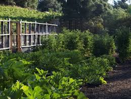 Wildflower meadows, outdoor baths and beehives are all on the list for trendsetting gardeners this year. Top Garden Trends For 2021 Garden Design