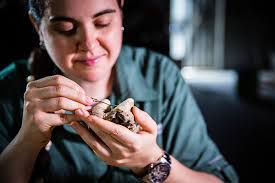 Dr. Ashley Leger is 'The Mammoth Girl'/노스웨스트미주리주립대(Northwest Missouri State  University)[강남역유학원,미국 전문 유학원]