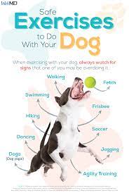 Check spelling or type a new query. Exercising With Your Dog Dog Yoga Safe Exercises Dog Exercise