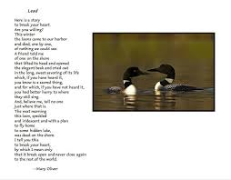 Lead Mary Oliver Mary Oliver Mary Oliver Poems Poetry Inspiration