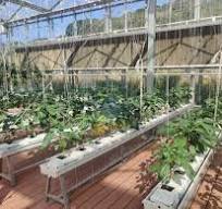 Greenhouse trough system Cost,Greenhouse trough system ...
