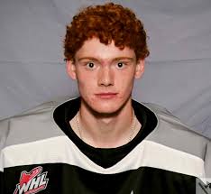 Luke Norman Stats and Player Profile