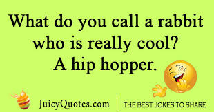 Check spelling or type a new query. Funny What Do You Call Jokes Will Make You Laugh