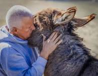 Group Donkey Encounter