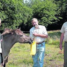 Tarpanes paintball team, río cuarto, córdoba. Tarpane Grasen Im Hutewald Fritzlar Homberg