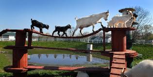 9 places to see animals in lancaster county family fun visit lancaster lancasteronline com