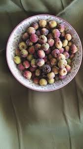 Health And Beauty Benefits Of Kakadu Plum The Most Vitamin C Rich Fruit On The Planet In 2020 Vitamin C Rich Fruits Fruit Flavor Ice