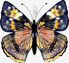 Download for free 60+ water and butterflies wallpapers. Butterfly Png Download 100 Free Butterflies Png Images