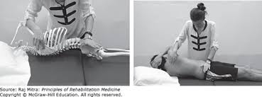Image result for Musculoskeletal Manipulation