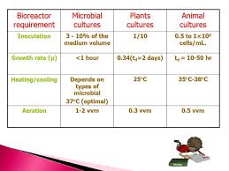 The tough wall gives added stability and protection to the plant cell. Differentiate Between Plant Animal And Microbial Bioreactor Ppt Video Online Download