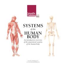 systems of the human body flip chart