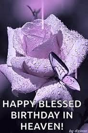 Check spelling or type a new query. Rose Purple Gif Rose Purple Butterfly Discover Share Gifs