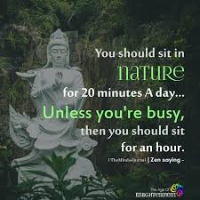 You Should Sit In Nature For 20 Minutes A Day Zen Quotes Nature Quotes Nature